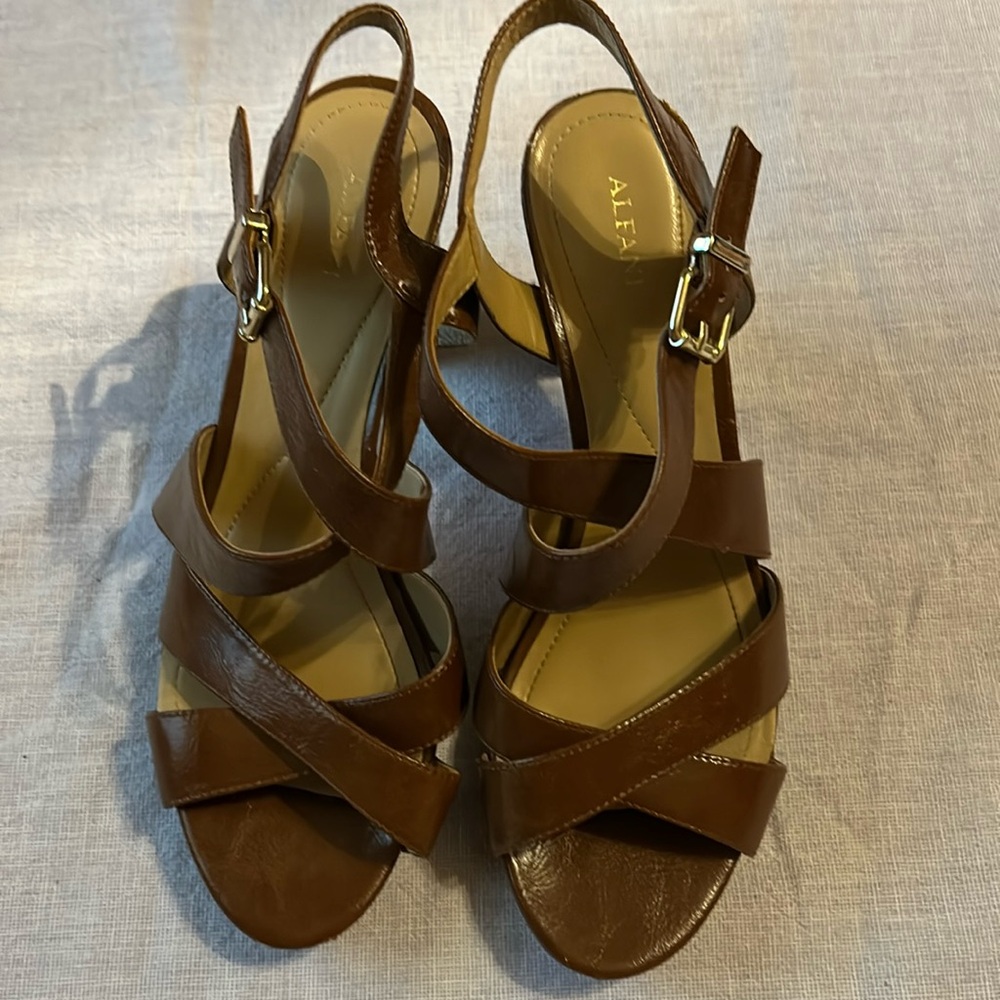 Alfani shoes